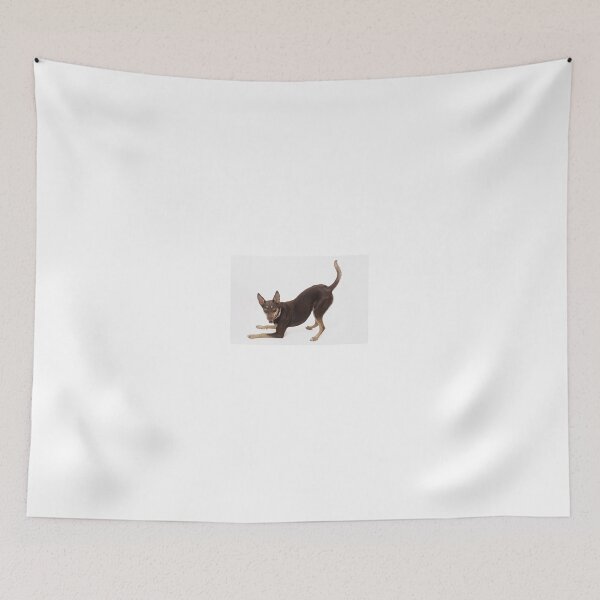 Item preview, Australian Kelpie designed and sold by Zoozwear Apparel.