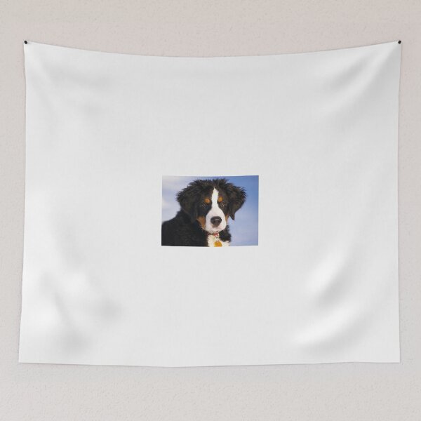 Item preview, Bernese Mountain Dog designed and sold by Zoozwear Apparel.