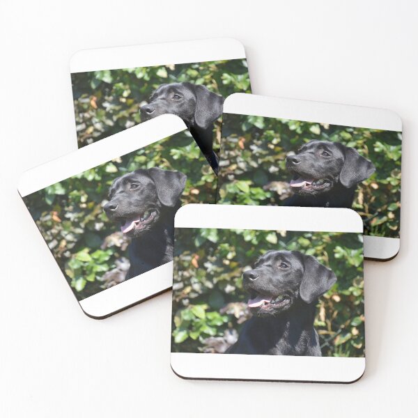 Item preview, Black Lab designed and sold by Zoozwear Apparel.