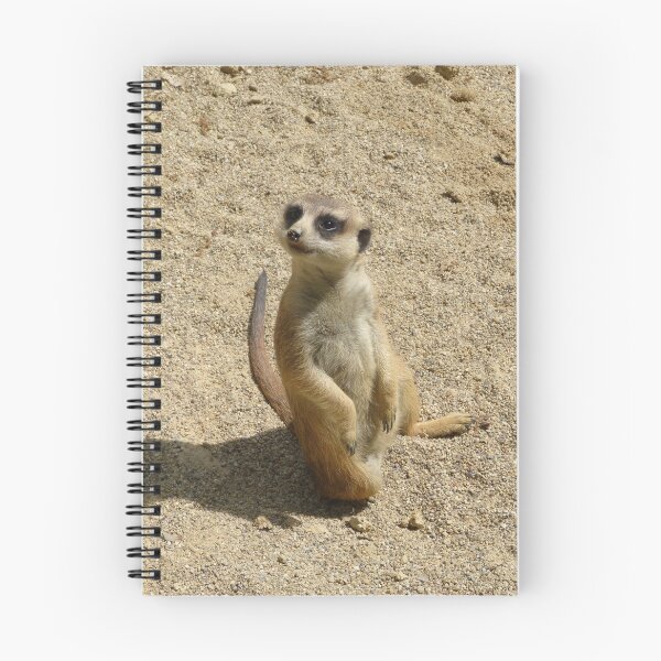 Item preview, Meerkat - Suricate designed and sold by Tjaša Rome.