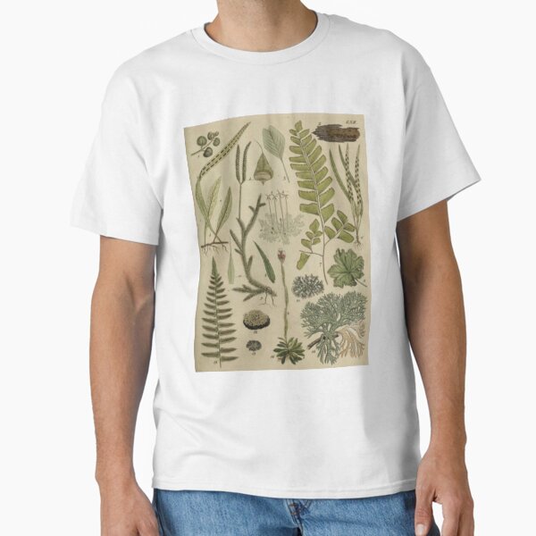 Item preview, Ferns And Lichen designed and sold by BlueSpecsStudio.