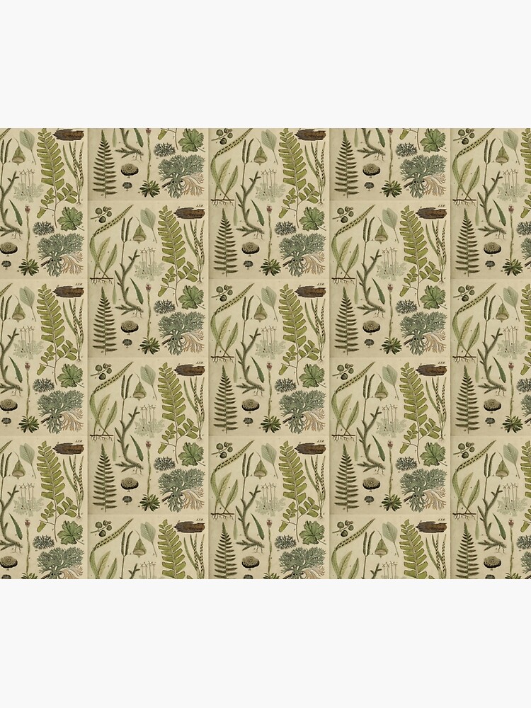 Ferns And Lichen by bluespecsstudio