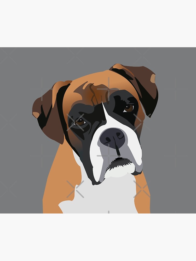 Boxer by KCPetPortraits