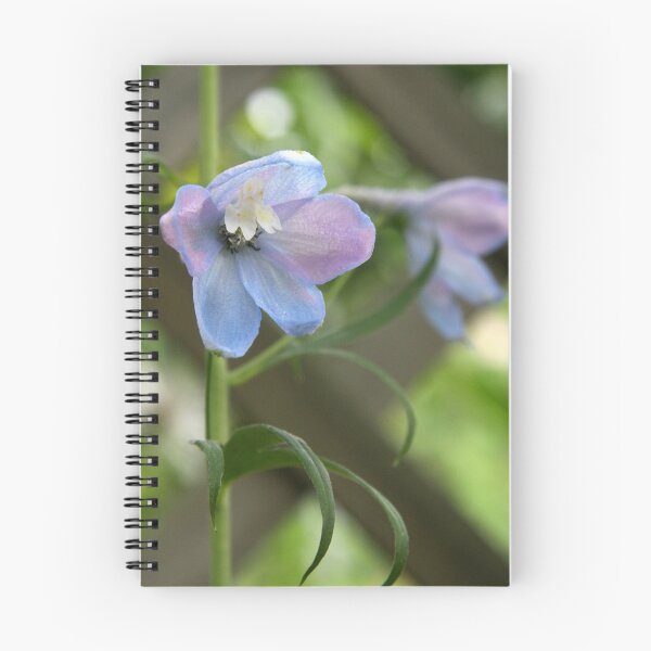 Item preview, Delphinium Blue Beauty designed and sold by coffeebean.