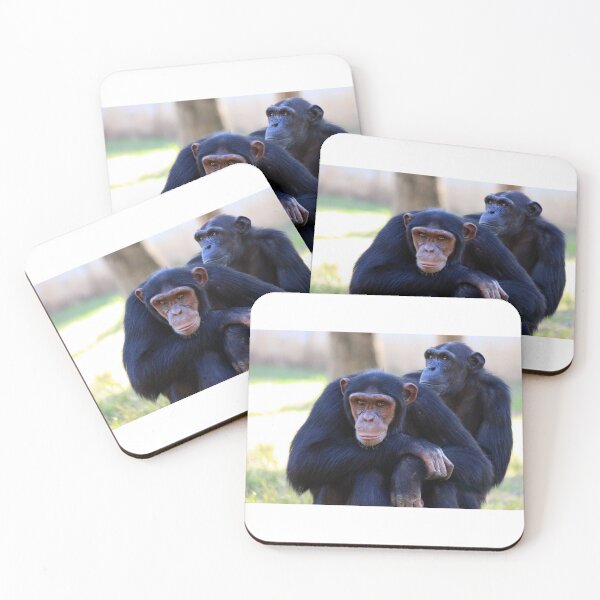 Item preview, Chimpanzees designed and sold by Zoozwear Apparel.
