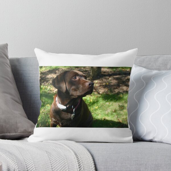 Item preview, Chocolate Lab designed and sold by Zoozwear Apparel.