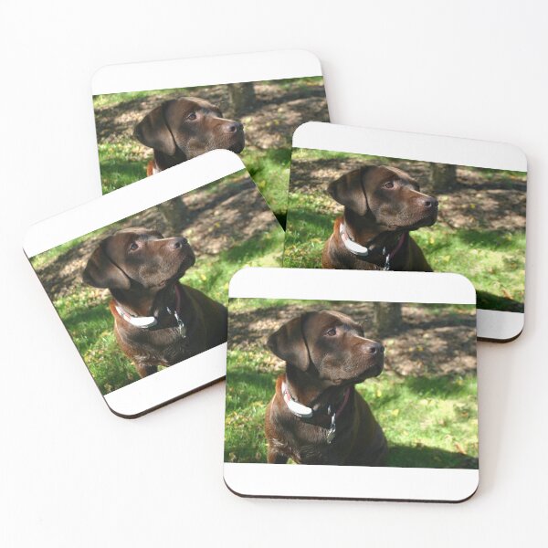Item preview, Chocolate Lab designed and sold by Zoozwear Apparel.