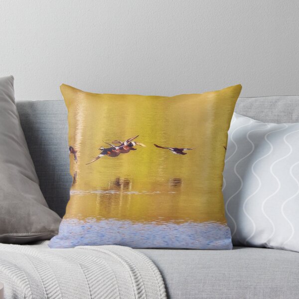 Item preview, Hooded Mergansers Take Off 3 - Harles couronnés - Parc National Mont Tremblant  designed and sold by Yannik Hay.