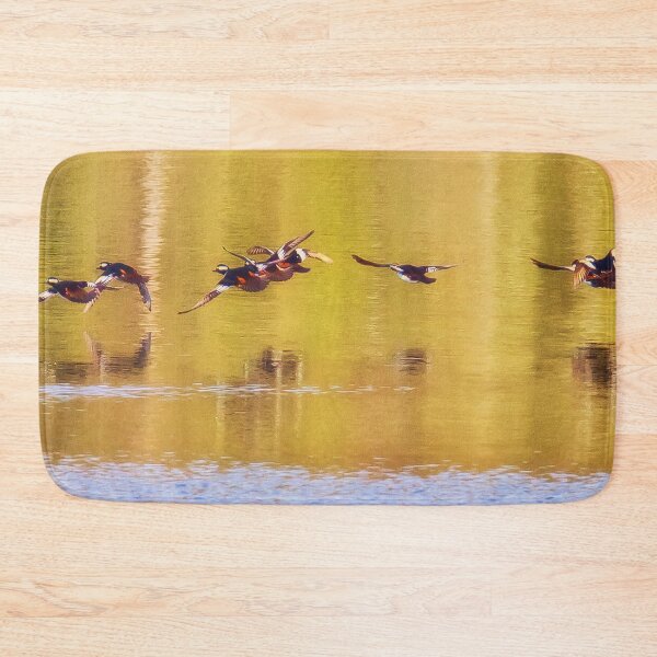 Item preview, Hooded Mergansers Take Off 3 - Harles couronnés - Parc National Mont Tremblant  designed and sold by Yannik Hay.