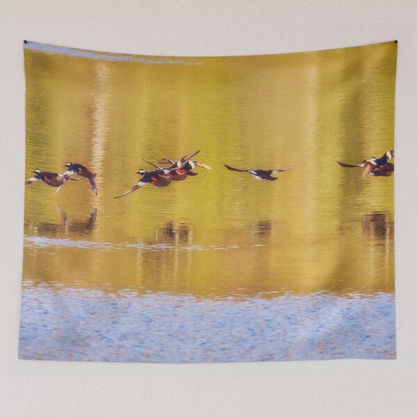 Item preview, Hooded Mergansers Take Off 3 - Harles couronnés - Parc National Mont Tremblant designed and sold by Yannik Hay.
