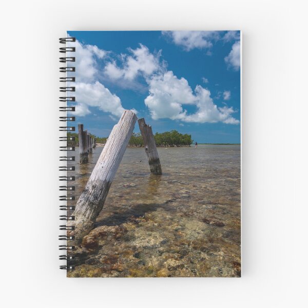 Item preview, Niles Channel Fishing Bridge designed and sold by johnlackphotos.