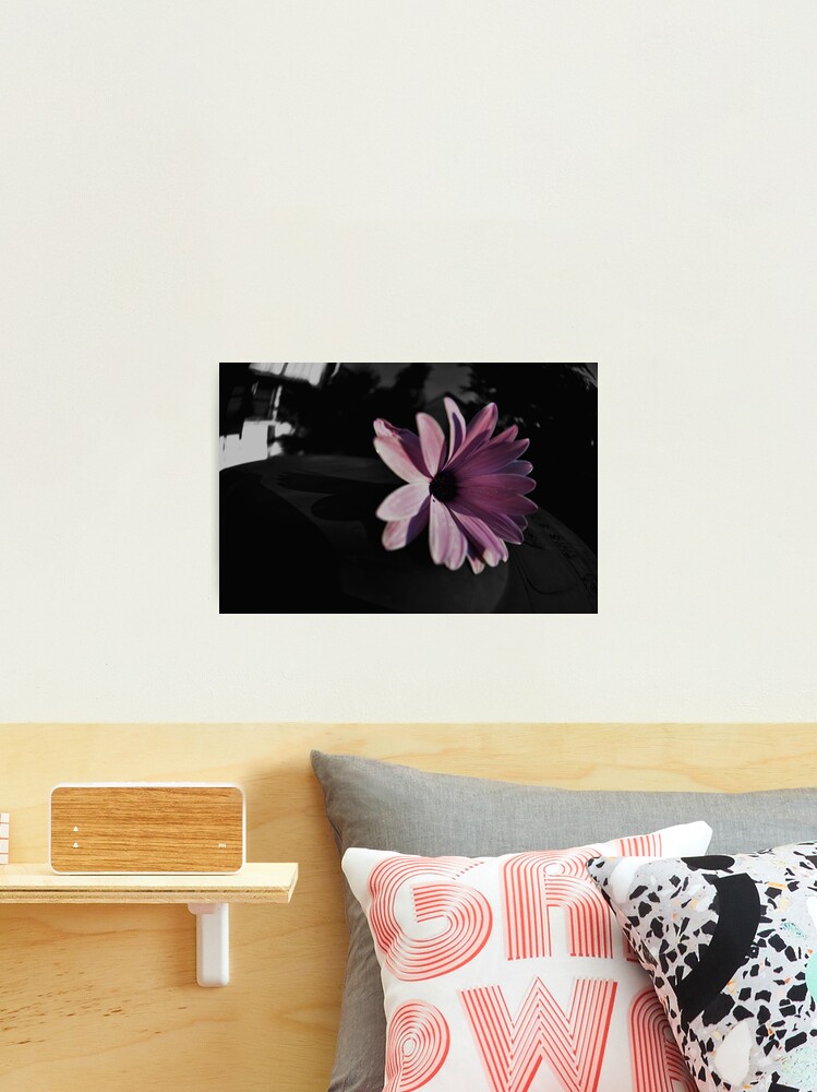 Thumbnail 2 of 3, Photographic Print, Dark Beauty on a Bin (please view LARGE) designed and sold by Jdubphotog.