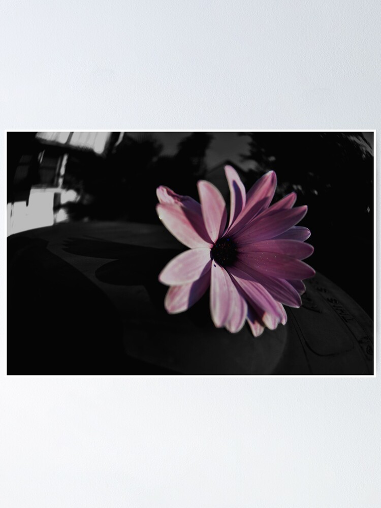 Thumbnail 1 of 3, Poster, Dark Beauty on a Bin (please view LARGE) designed and sold by Jdubphotog.