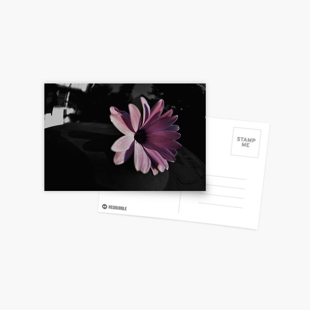 Item preview, Postcard designed and sold by Jdubphotog.