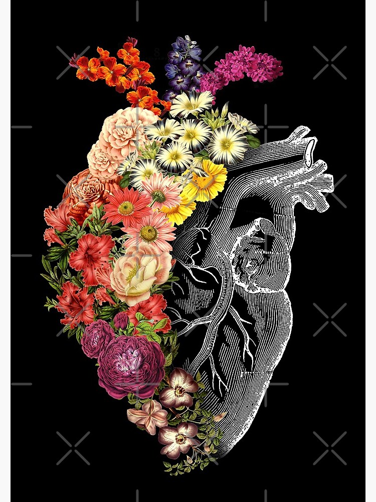 Flower Heart Spring by tobiasfonseca