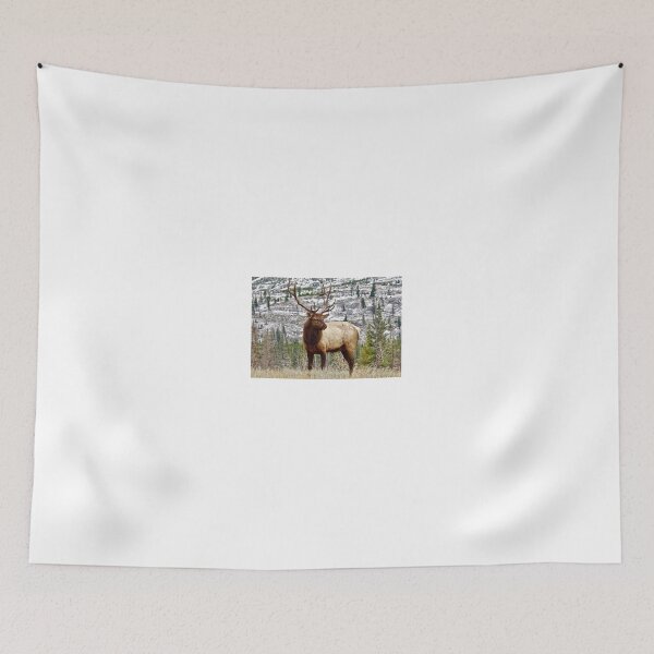 Item preview, Elk 2 designed and sold by Zoozwear Apparel.