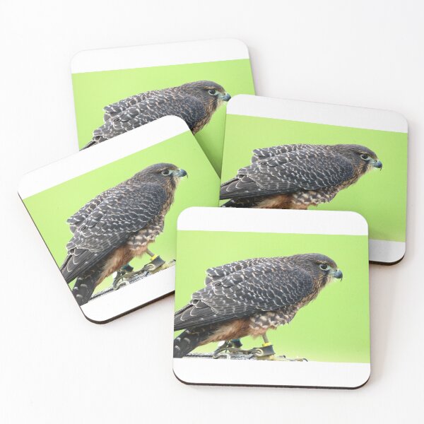 Item preview, Falcon designed and sold by Zoozwear Apparel.