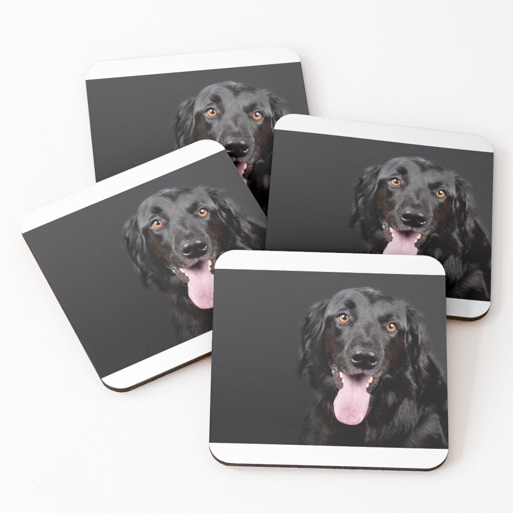 Item preview, Coasters (Set of 4) designed and sold by Fjfichman.