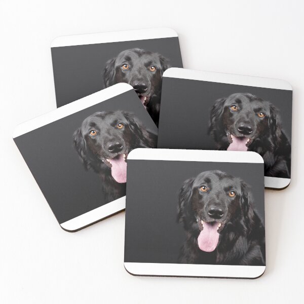 Artikelvorschau, Flat Coated Retriever entworfen und verkauft von Zoozwear Apparel.
