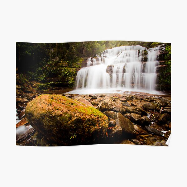 Liffey Falls, Liffey, Tasmania Poster
