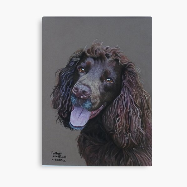 Working Cocker Spaniel, Fin Canvas Print