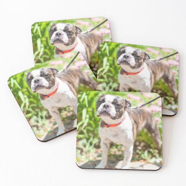 Item preview, Stare Down designed and sold by Spring Reilly.