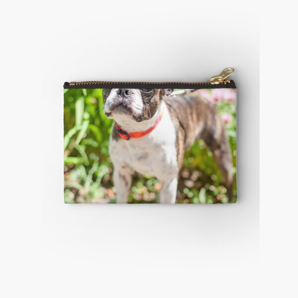 Item preview, Stare Down designed and sold by Spring Reilly.