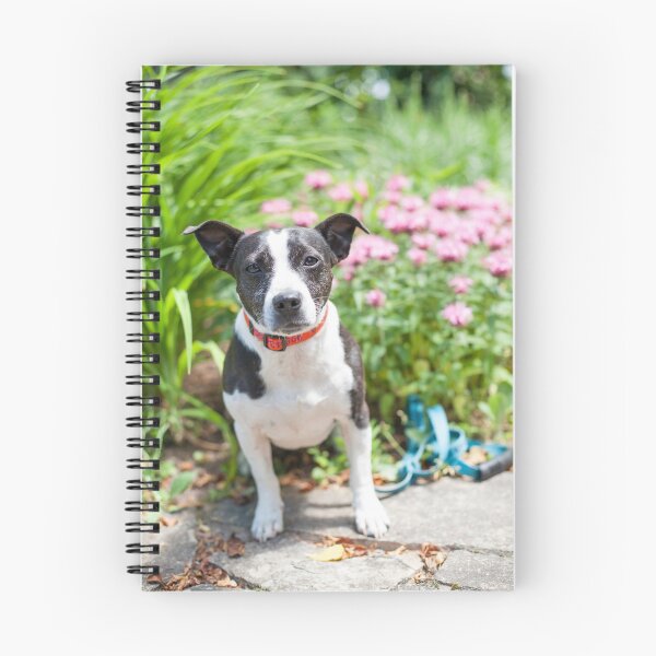 Item preview, Found in the Flowers designed and sold by Spring Reilly.