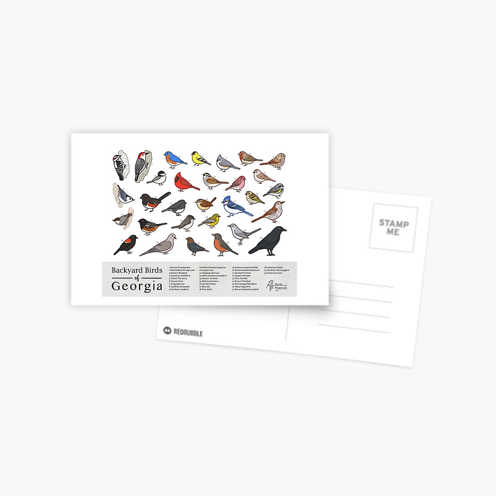 Item preview, Postcard designed and sold by BirdsandFriends.
