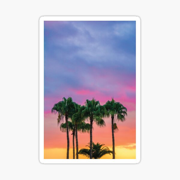Miami Sunset Sticker