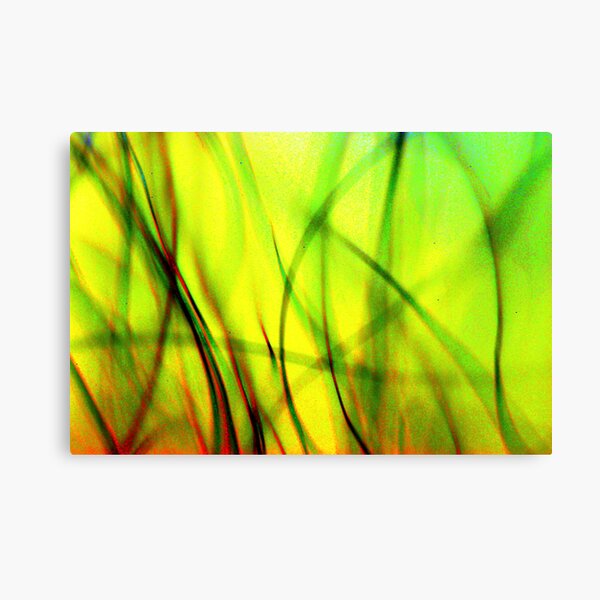 Green Field Canvas Print