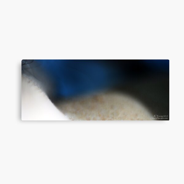 Shaping of Sand Canvas Print