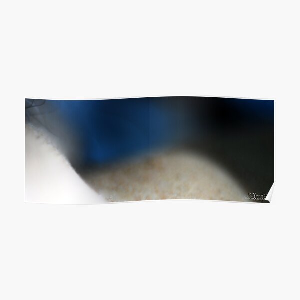 Shaping of Sand Poster