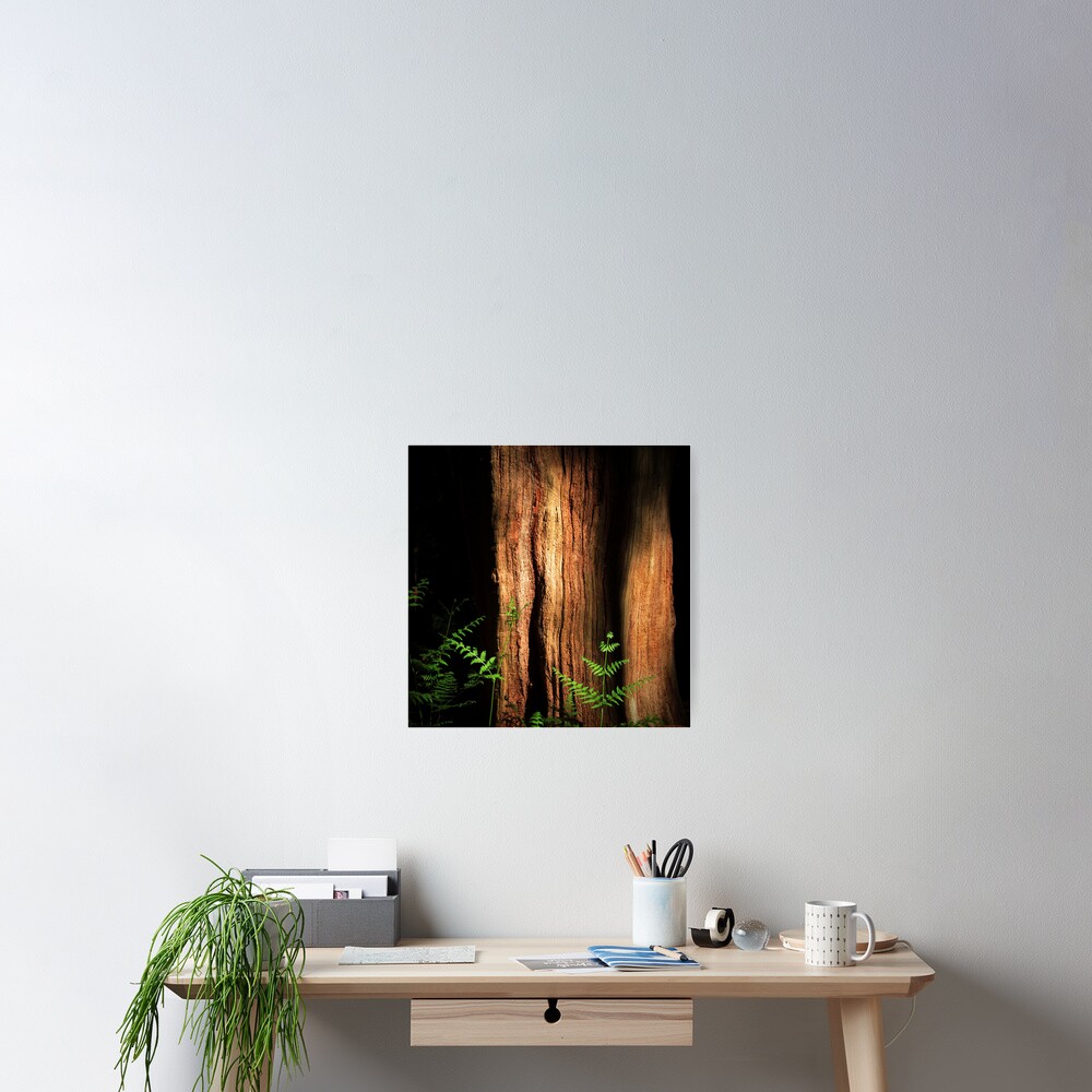 Item preview, Poster designed and sold by Coigach.