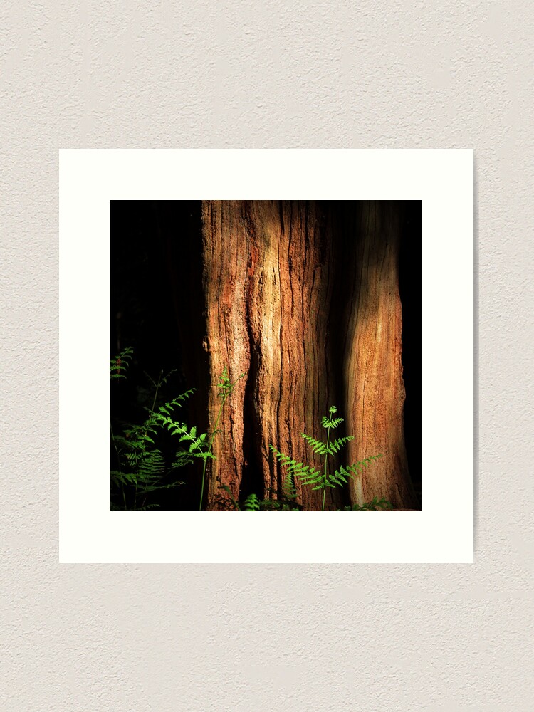 Thumbnail 1 of 3, Art Print, Epping Glade designed and sold by Coigach.