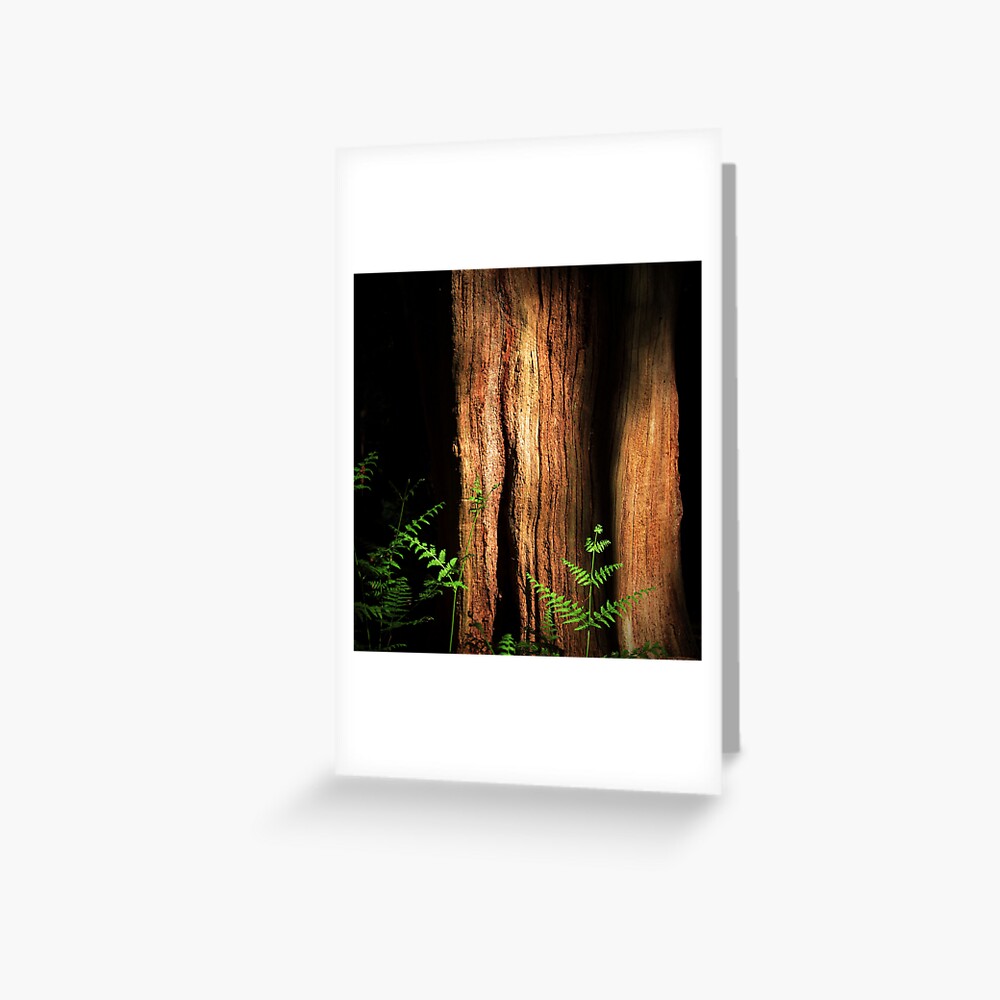 Item preview, Greeting Card designed and sold by Coigach.
