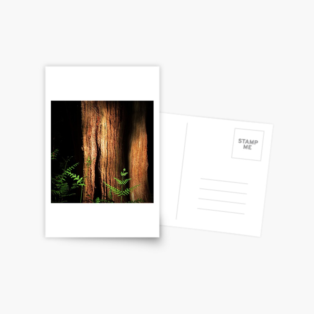 Item preview, Postcard designed and sold by Coigach.
