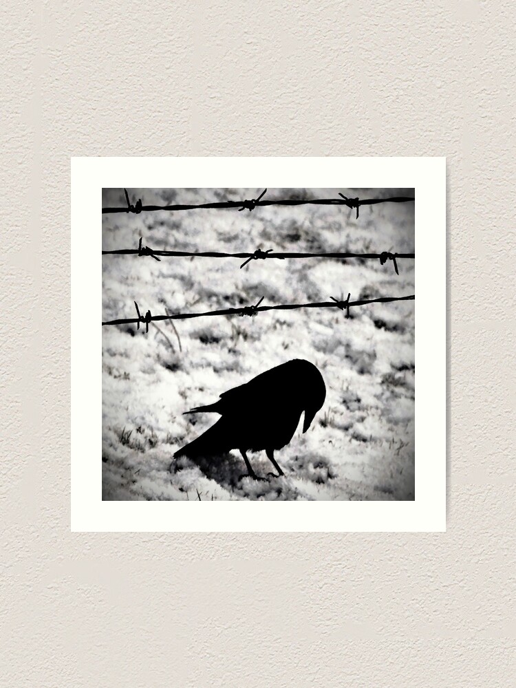 Thumbnail 1 of 3, Art Print, Blackbird: only waiting... designed and sold by Coigach.