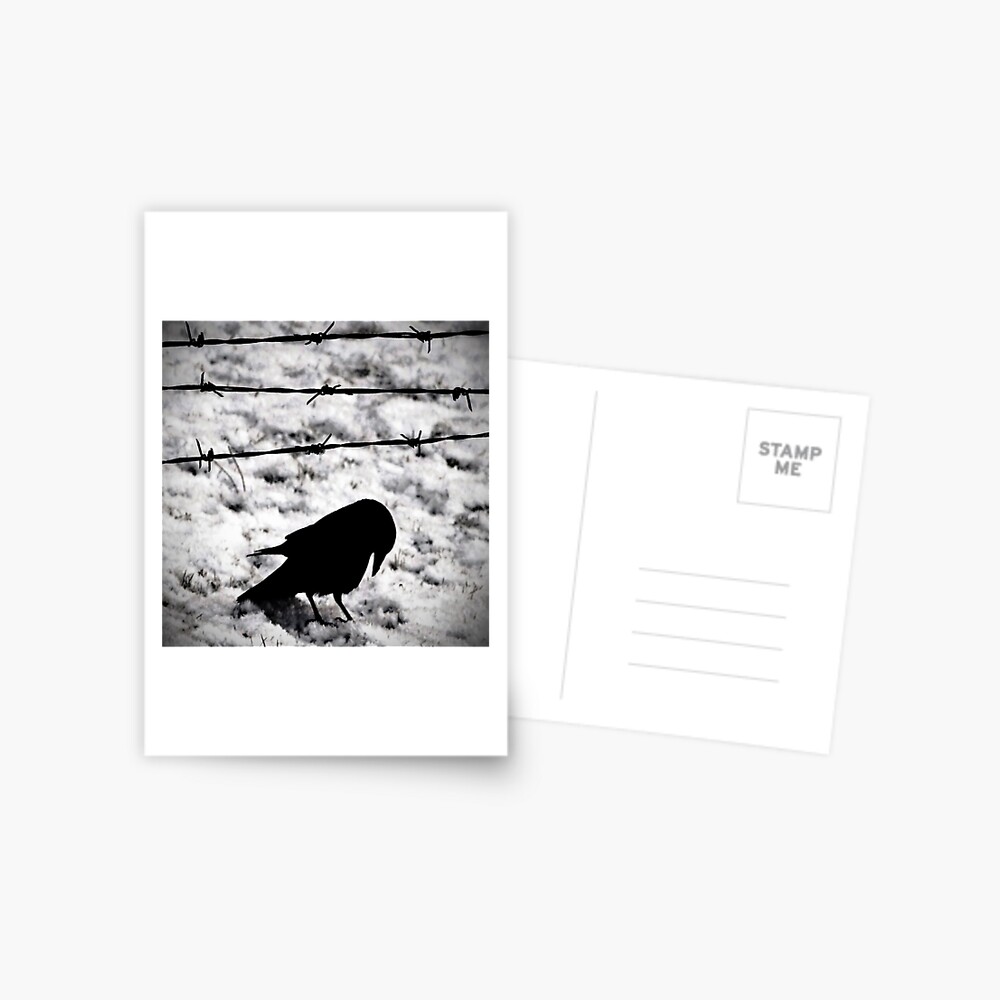 Item preview, Postcard designed and sold by Coigach.