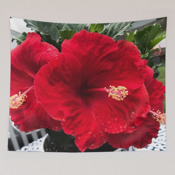 Item preview, Hibiscus in red designed and sold by Michelle Sinz.