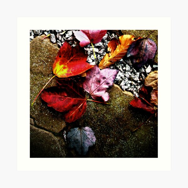 Art Print