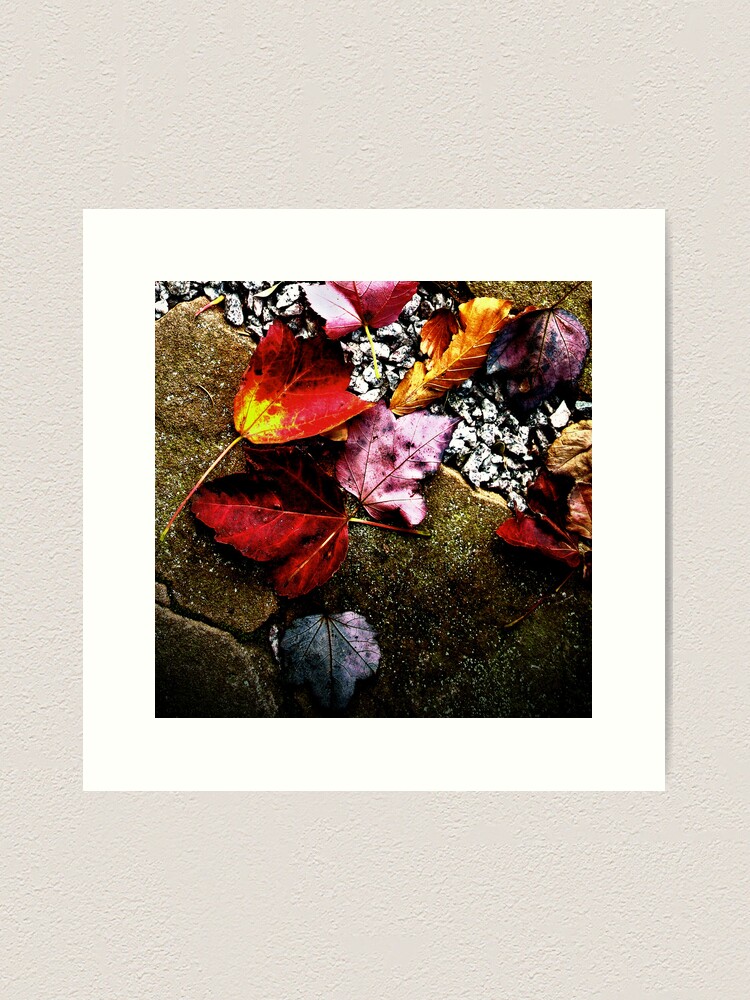 Thumbnail 1 of 3, Art Print, Threave Leaves designed and sold by Coigach.
