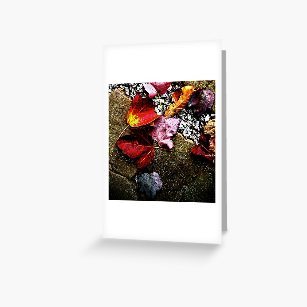 Item preview, Greeting Card designed and sold by Coigach.