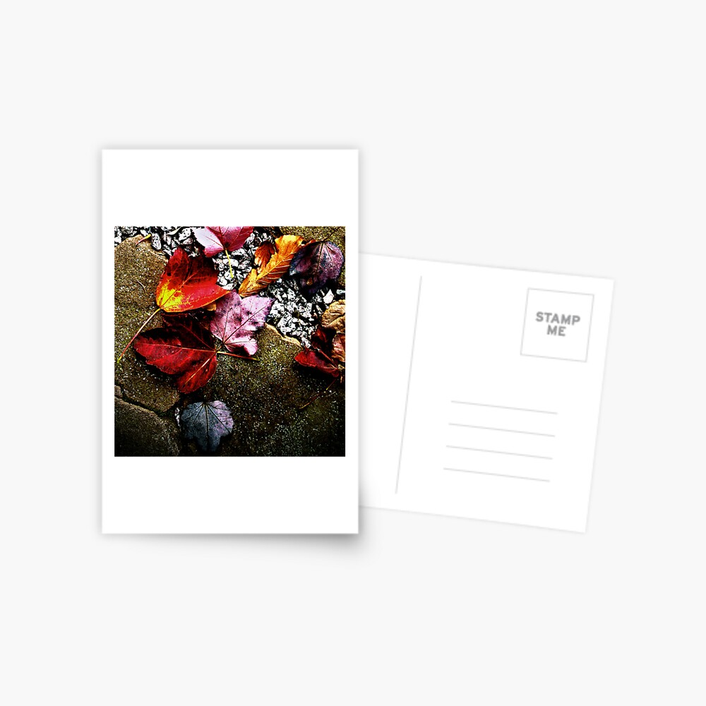 Item preview, Postcard designed and sold by Coigach.