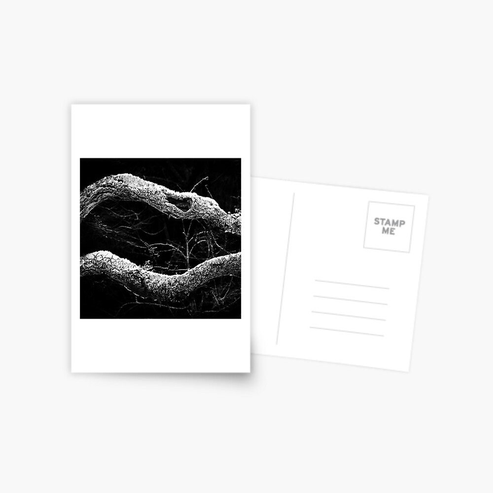 Item preview, Postcard designed and sold by Coigach.