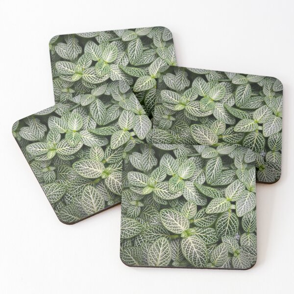 Item preview, Fittonia / Mosaic Plant / Nerve Plant designed and sold by walkswithnature.