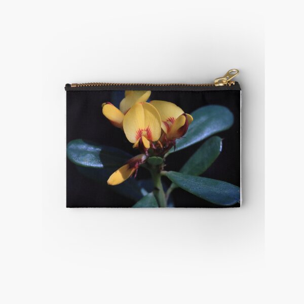 Item preview, Pultenaea daphnoides - Large-leaf Bush-pea designed and sold by ausnative.