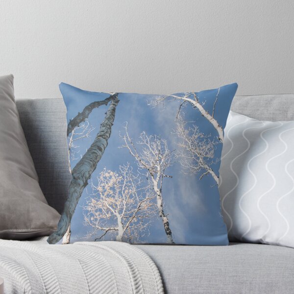 Item preview, Birch Trees Above designed and sold by Lostlogo.