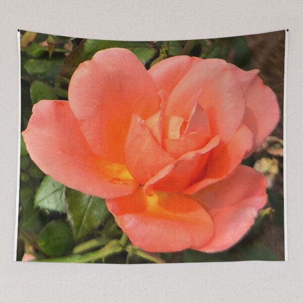 Item preview, Peach Rose designed and sold by JanineEK.