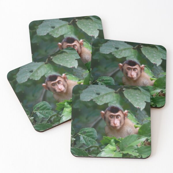 Item preview, Pig-Tailed Macaque designed and sold by mlorenz.